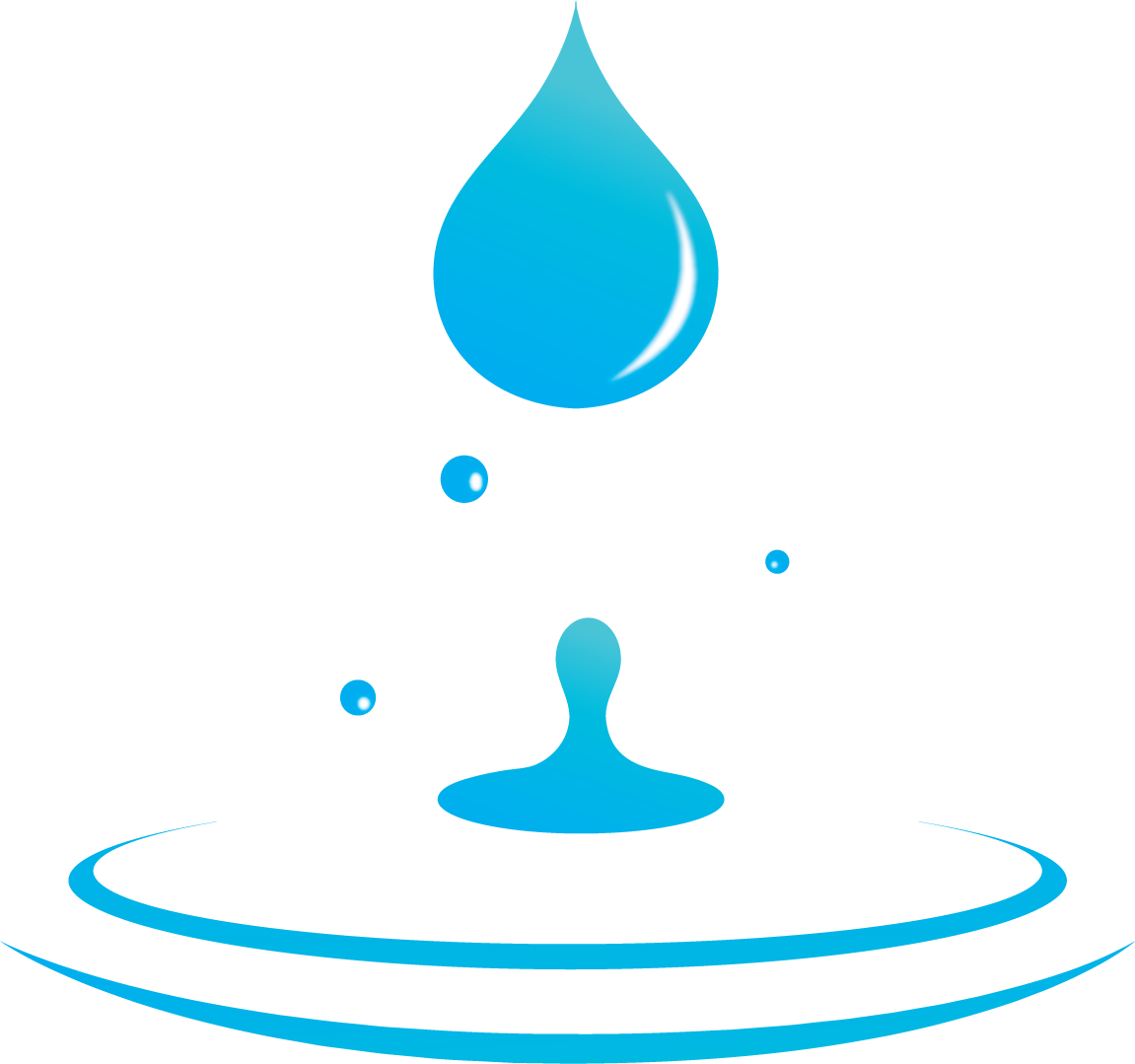 company's logo